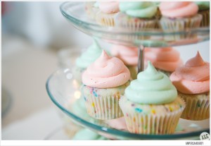 Ampersandgrey-KaitJames_0507